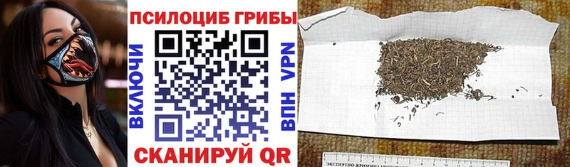 Псилоцибиновые грибы прущие грибы  маркетплейс телеграм  Кудрово 