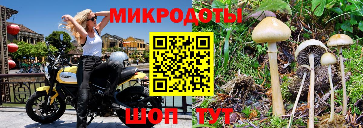Псилоцибиновые грибы прущие грибы  Вход с VPN  Кудрово 